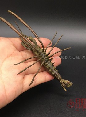 速发纯铜小青虾摆件 实心铜河虾铜龙虾海鲜铜大虾装饰茶宠模型