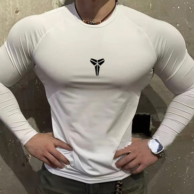 2025秋冬新款运动速干紧身衣男长袖健身篮球服跑步训练服上衣