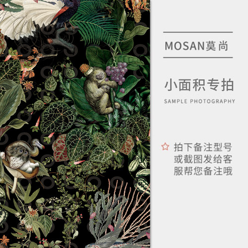 小面积拍拍链接！必须与客服确认再拍否则无发布拍