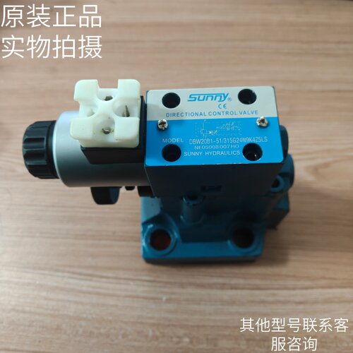美国SUNNY立式溢流阀DBW20B1-51/315G24N9K4Z5LS原装正品现货
