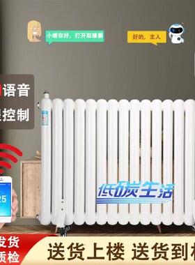 加水电暖气片家用注水电暖器水暖热水循环取暖器家用全屋节能省电