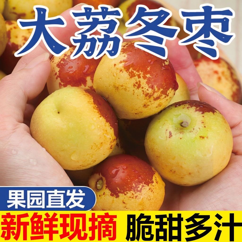 陕西大荔冬枣新鲜水果冰糖脆甜特大5斤包邮孕妇水果当季枣子鲜枣