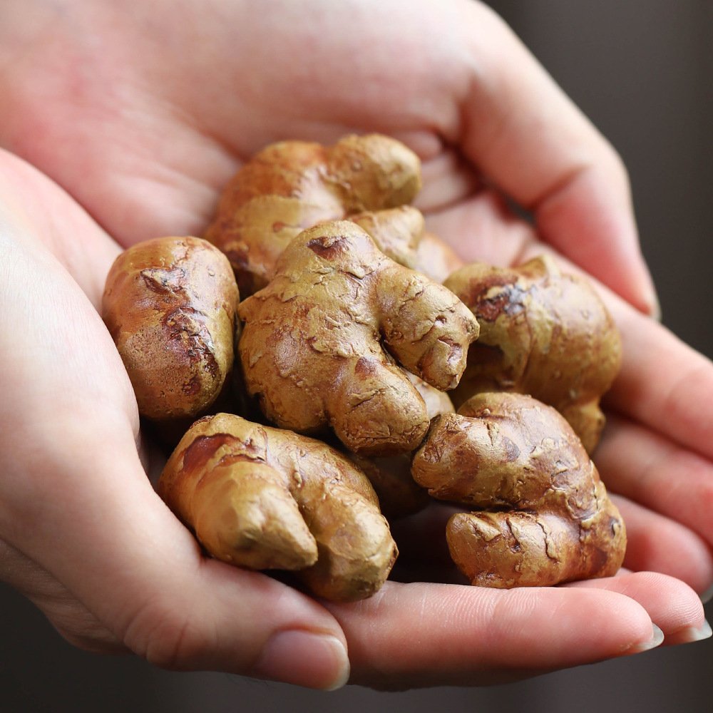 进口宜兴紫砂茶宠生姜摆件万寿无姜创意蔬菜水果茶具茶盘果盘配件