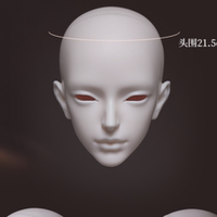 DollZone 羽光天使 3分73叔體BJD娃娃單頭素頭 DZ 三萬院長預售