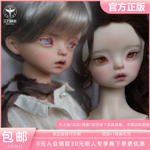 三万院长4分娃娃山茶camellia