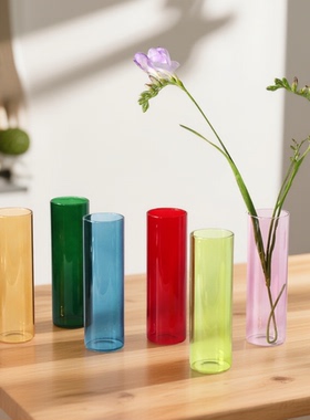北欧绿色直筒玻璃花瓶简约小号红色高级感轻奢家居装饰插花水培瓶