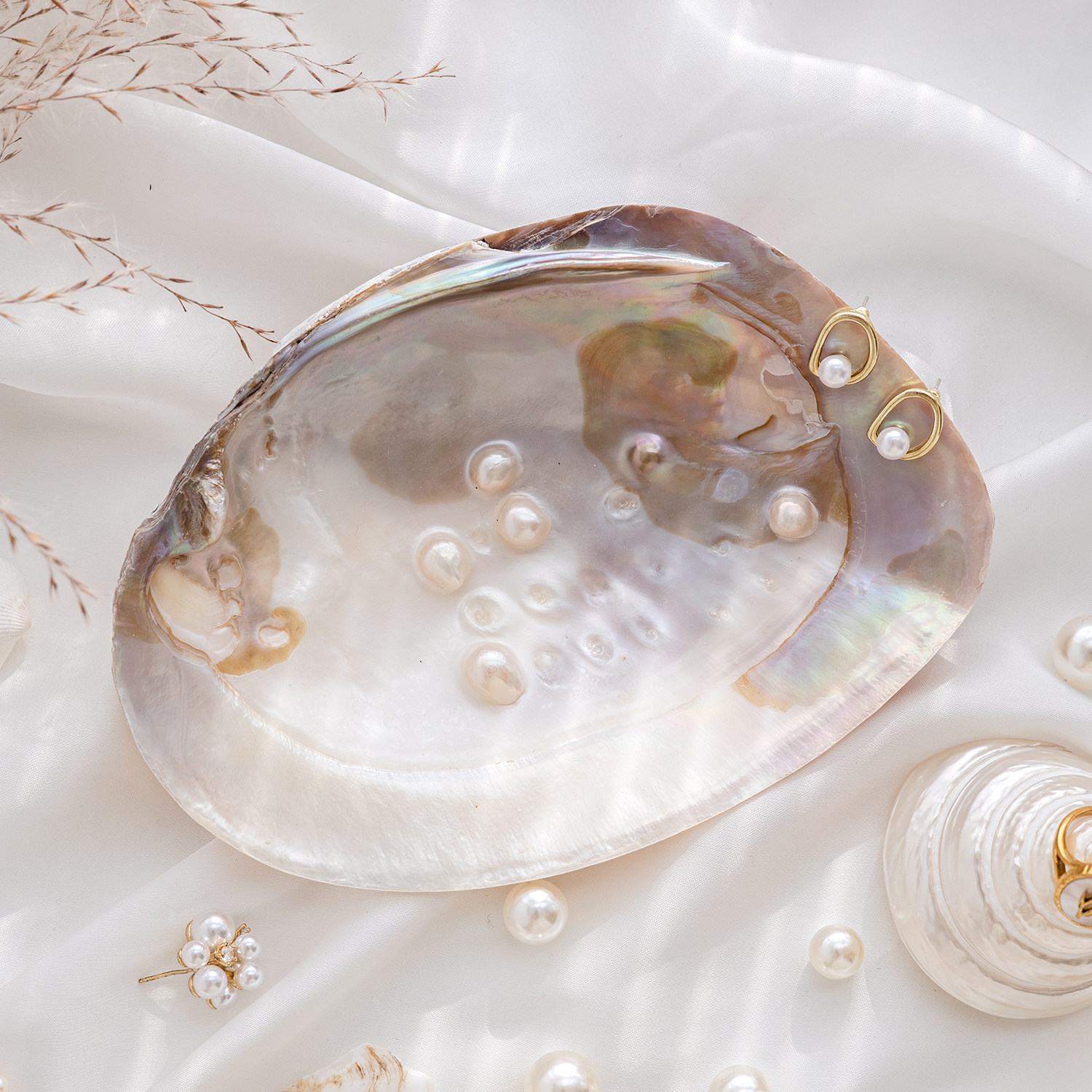 자연 야생 쉘 쥬얼리 디스플레이 플레이트 쥬얼리 플레이트 쥬얼리 포즈 장식 쉘 기능 사진 소품 장식