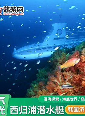 济州岛西归浦潜水艇门票韩国旅游成人儿童体验潜水韩国济州岛旅游