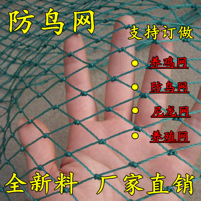 葡萄园樱桃园果园果树防鸟用网鱼塘丝网大棚尼龙线防鸟网养殖天网