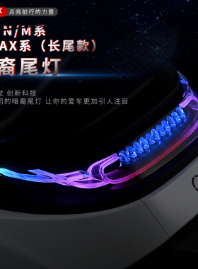域域犬暗裔尾灯9号电动车N80C M3 M95C+机械师MK2长尾直上APP可调