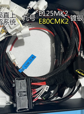 9号电动车E80CMK2 E125MK2镀银全车大线保留系统铅酸改锂电防阻燃
