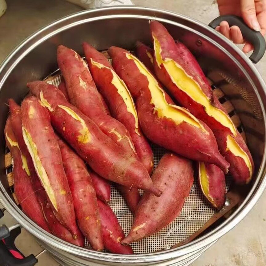 正宗陕西临潼板栗红薯新鲜红苕农家自种沙地板栗薯蜜薯非桥头地瓜