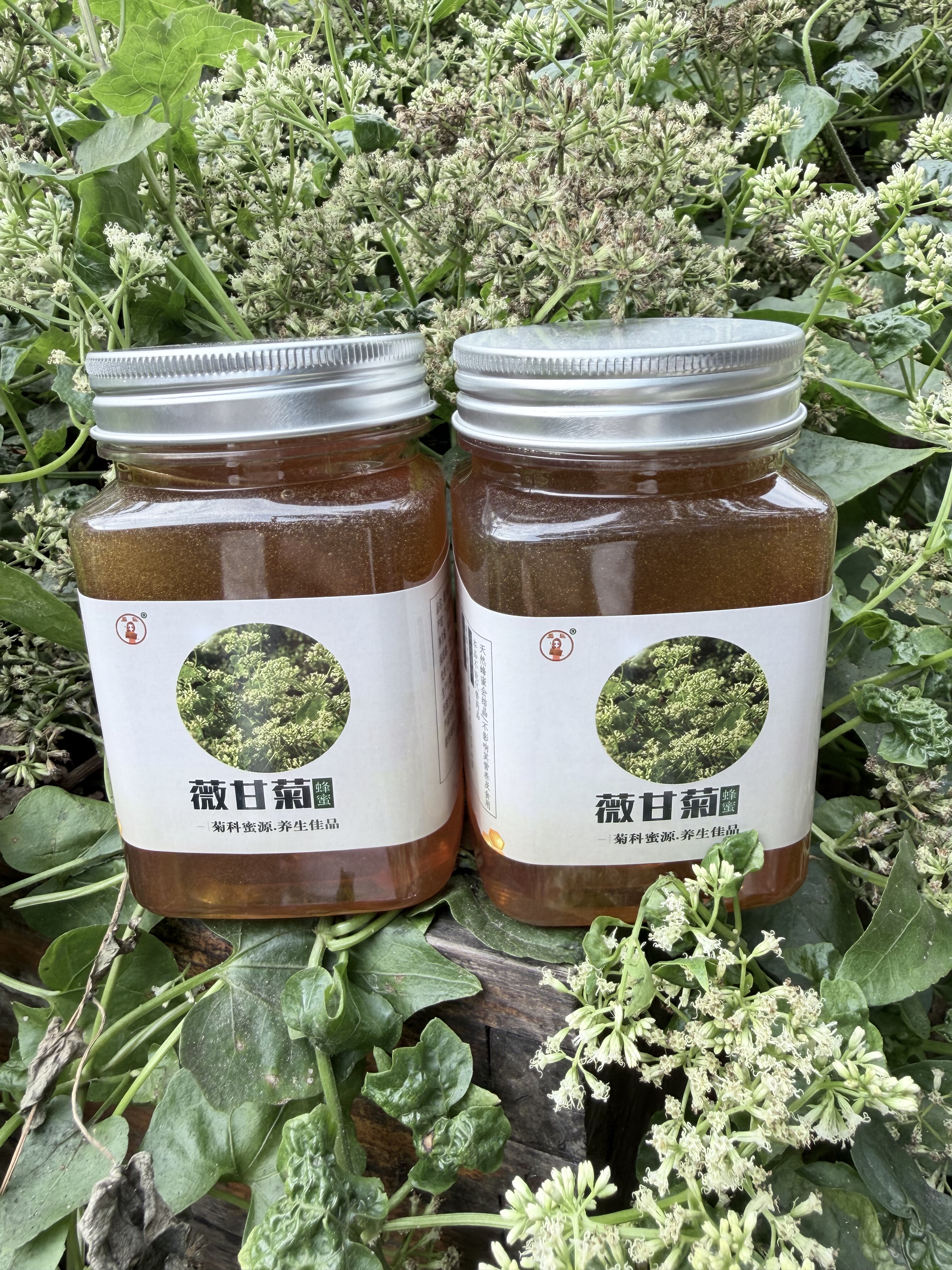 纯正天然农家自产野生薇甘菊蜂蜜无添加野菊花蜜
