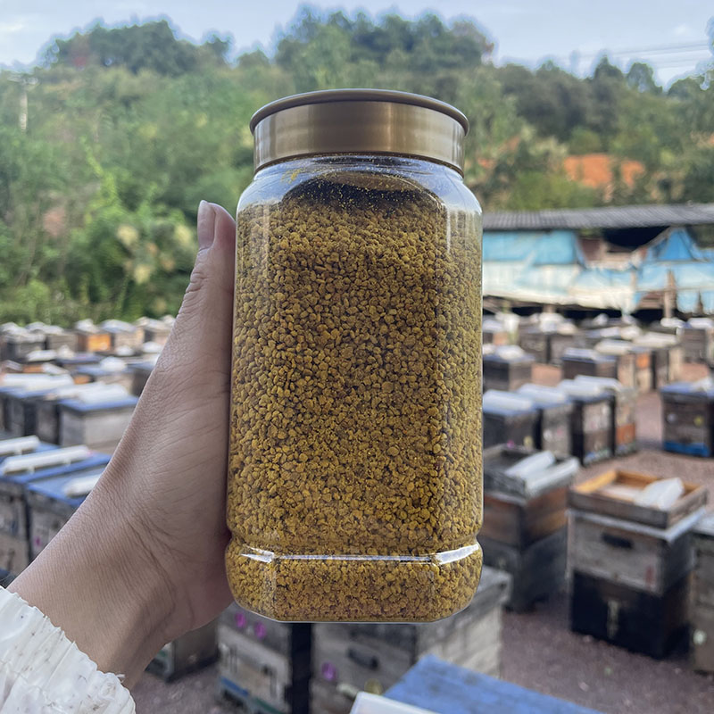 农家自产纯正天然五倍子花粉原粉未破壁1斤