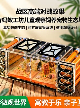 战区V1.7高端对战蚁巢