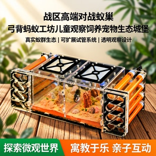 战区高端对战蚁巢试管扩展弓背蚂蚁工坊儿童观察饲养宠物生态城堡