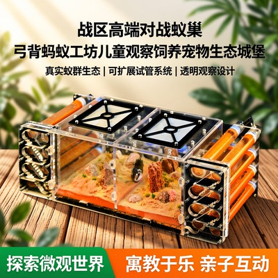 战区V1.7高端对战蚁巢