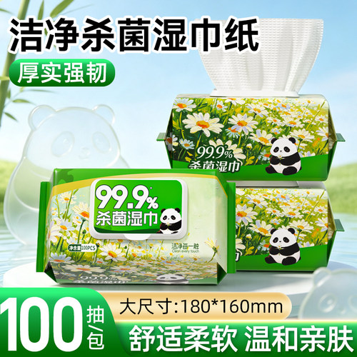 纯竹工坊杀菌湿巾100片大包装开学清洁湿纸巾家用家庭装整箱囤货