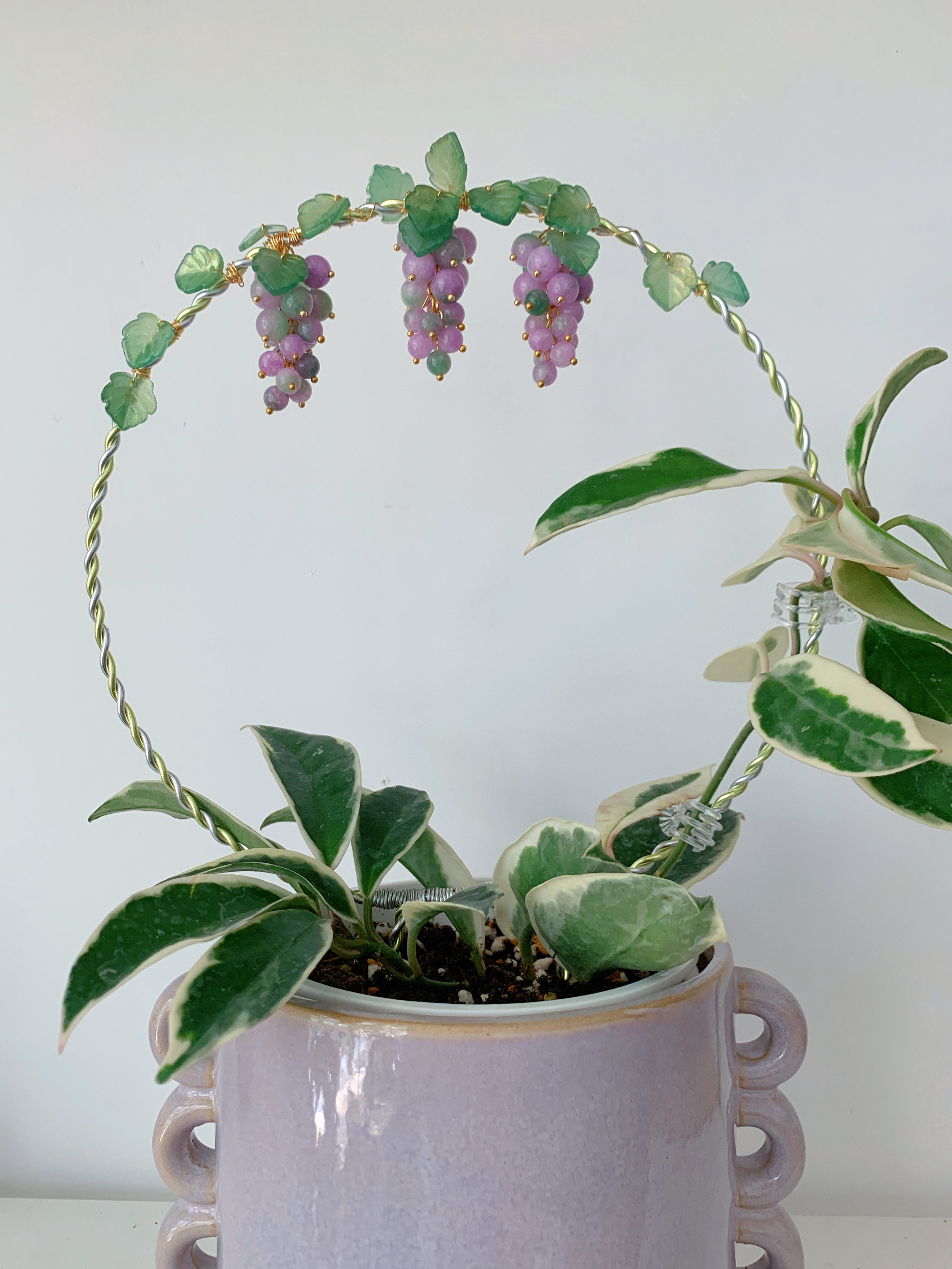 球兰攀爬架 球兰花架支架 植物攀爬架 手工造型花插花盆装饰,鲜花速递/花卉仿真/绿植园艺,花架,淘宝优惠券,粉丝福利购,淘宝优惠卷