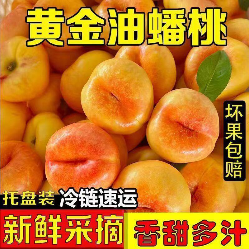山东肥城黄金油蟠桃脆甜多汁孕妇新鲜水果包邮