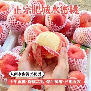 现摘山东肥城正宗水蜜桃脆甜多汁新鲜孕妇水果整箱包邮