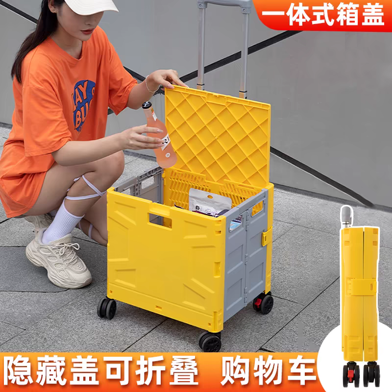 购物车车载收纳箱菜篮便携小拉车