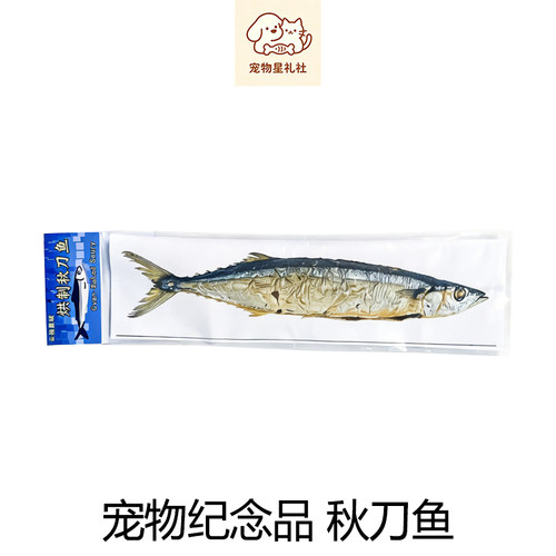 宠物祭祀殡葬用品袋装秋刀鱼猫咪狗狗去世纪念纸扎头七尾七纸钱