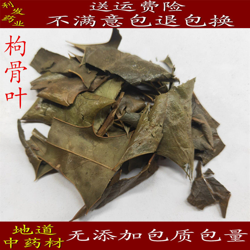 枸骨叶 中药材 正品枸骨叶 猫儿刺 六角刺 保证质量500克20元包邮