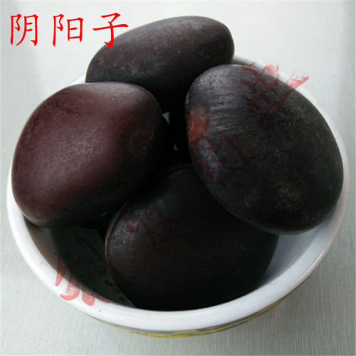 本店经营各种中药材 冷背中药材  矿石   花茶 经营宗旨  诚信经营 所卖药材全是正品 无硫 你的满意就是本店的追求 本店承诺7天无理由退换货 欢迎新老顾客光临