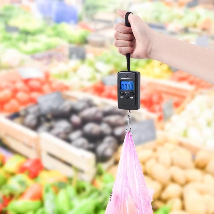 迷你手持便携式手提电子秤快递秤重手提弹簧秤厨房手拿秤