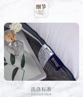 All-cotton pillow core 45, sofa cushion core 40, 50, 60, 65, 70 square cushion feather velvet long pillow core square thumbnail 5