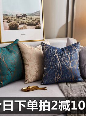 抱枕枕套样板房客厅沙发枕头轻奢靠枕床上护腰午睡简约靠垫靠背包