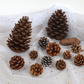 素时光 饰品 天然松果松塔干果干花材料zakka拍摄道具手工DIY装