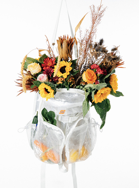 OFFWINTER 都市巡游 航空旅行系列 透明双肩包（隐藏款全黑）