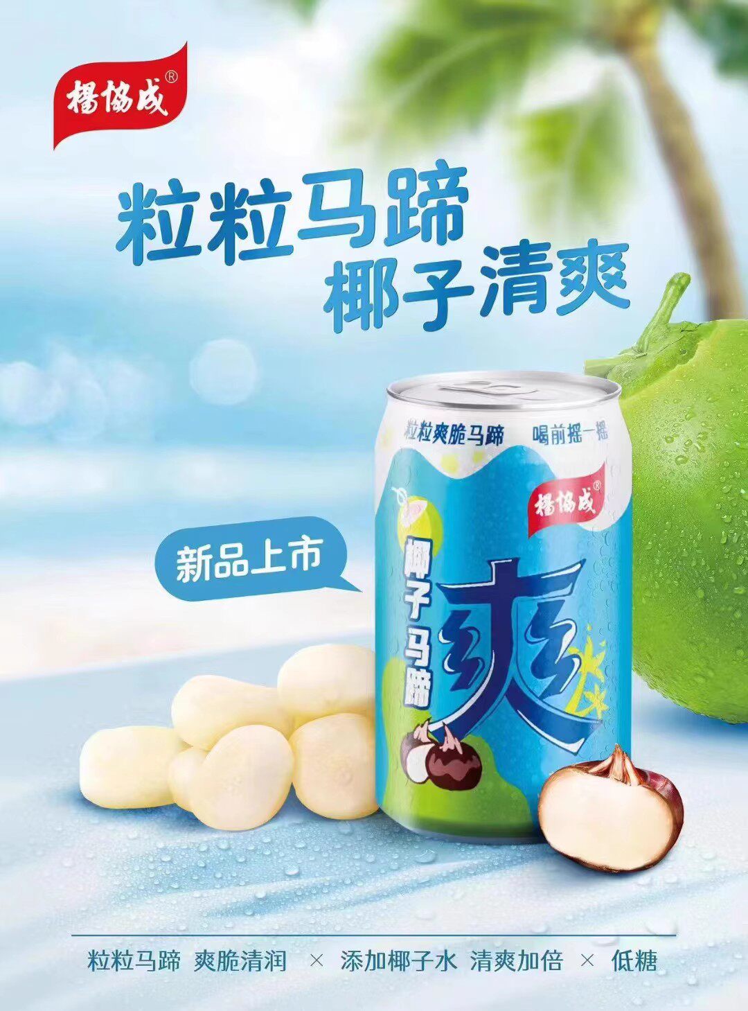yeos杨协成椰子马蹄爽300ml*6罐荸荠果粒椰子水饮料多省包邮