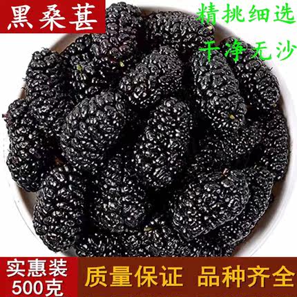 桑葚干黑桑椹无沙新货野生黑桑葚干桑果500g新鲜桑葚桑葚子膏酒茶