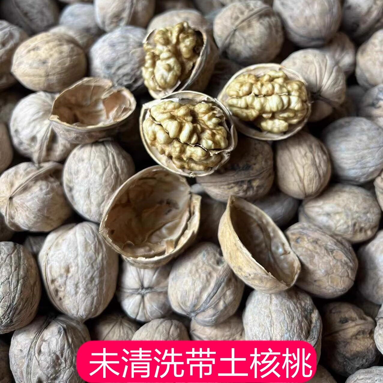 新货新疆特产薄壳核桃大个未清洗未加工吃货零食零添加500g干果