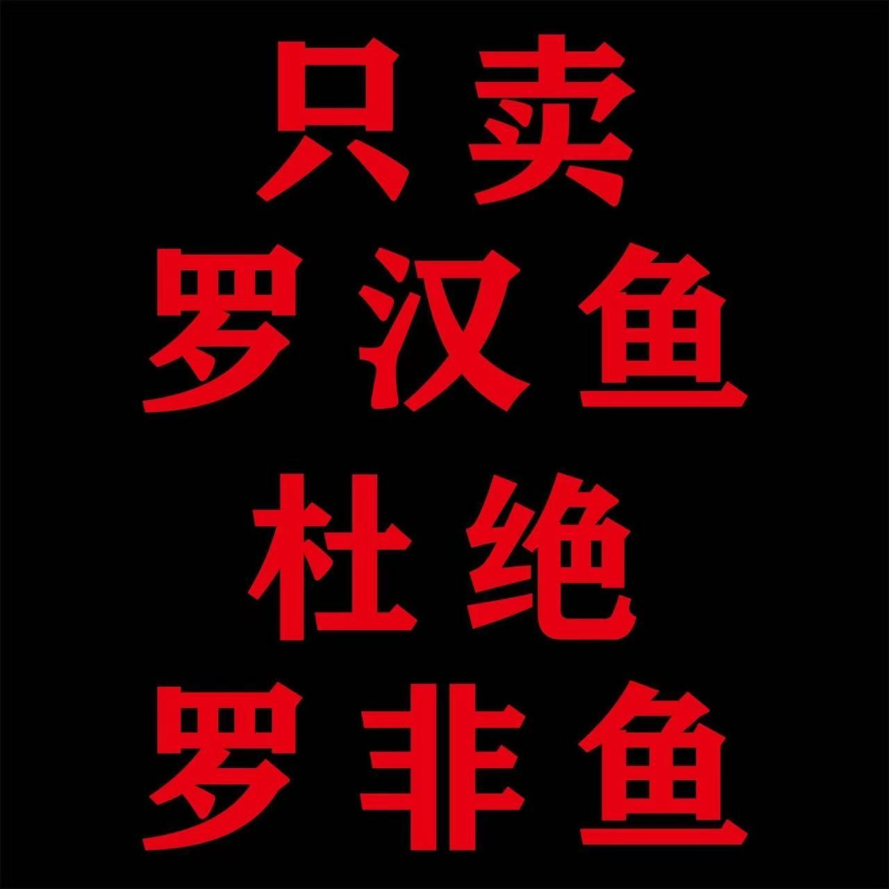罗汉鱼活体红色爆头起头易养耐养