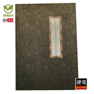 手抄九天应元雷声普化天尊说玉枢宝经硬笔经文拼音临摹描红字帖