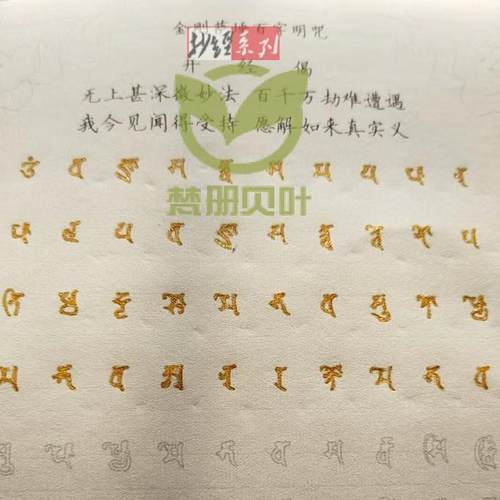 硬笔描写 百字明咒 地藏灭定 业真言 汉音字带梵文 宣纸字帖纸