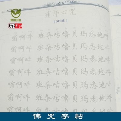 字帖硬笔简体临摹字帖描写