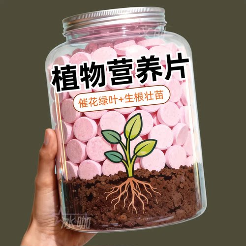 植物营养片花肥料缓释肥绿植花卉通用型颗粒肥料家用养花绿叶生根