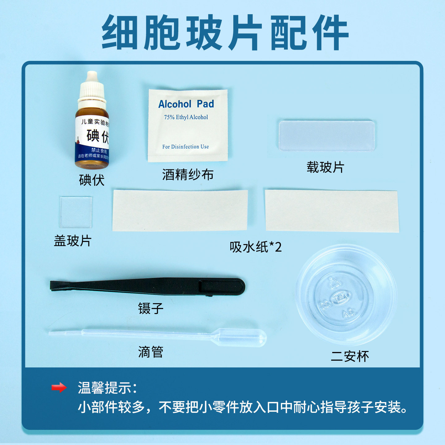 科学实验材料洋葱表皮细胞切片标本手工科技小制作学生同步教科版