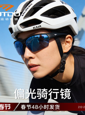 高特骑行眼镜偏光跑步公路车防风男户外徒步运动护目墨镜GT61009