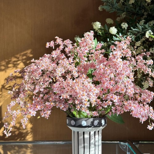 梦香兰花盆栽浓香文心兰带花苞