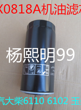 1174421机滤适配潍柴P553771/F6L912/3道依茨机油滤芯P559418机滤