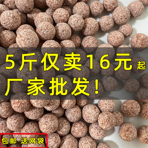 中空石英球滤材鱼缸过滤材料细菌屋硝化培菌球过滤桶生化石水族箱