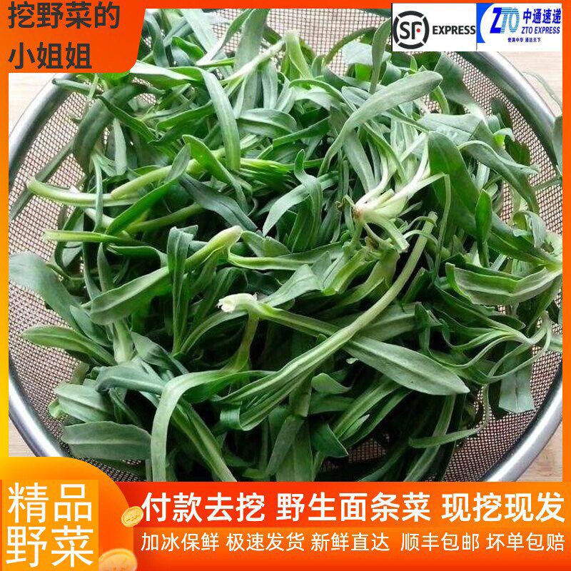 面条菜新鲜当季羊蹄颗农家自种时令蔬菜山东特产柳叶菜一斤也包邮