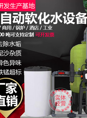 软化水处理设备工业锅炉软水机地下井水过滤器去除水垢泥沙净水器