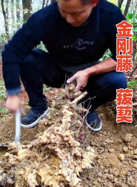四川野生金刚藤菝葜中药材鲜干货